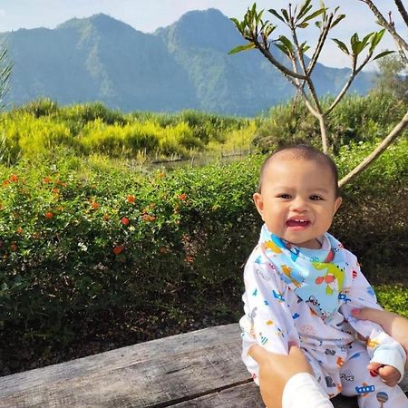 Griya Tambek Villa Kintamani  Luaran gambar
